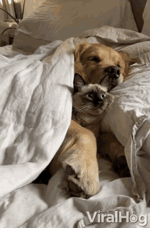 snuggle-viralhog.gif