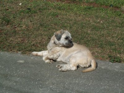1 butters      1-15-22.JPG