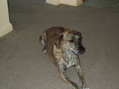 1a George  5-15-2022 R.I.P..JPG