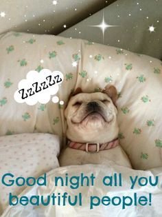 gdnt.btfl.ppl.jpg