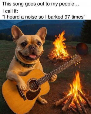 FB_IMG_1749587749064.jpg