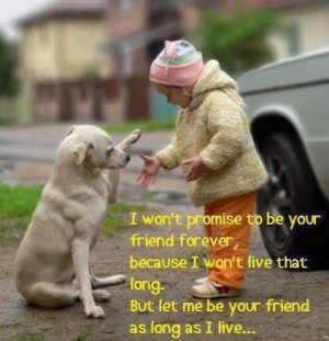 IMG_1724.jpeg