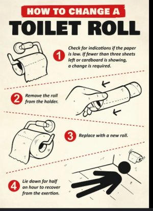 tp.jpg