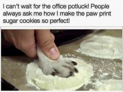 FB_IMG_1699929284347.jpg