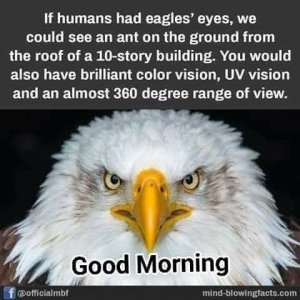 FB_IMG_1749779460960.jpg