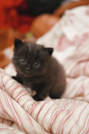 baby-2.jpg