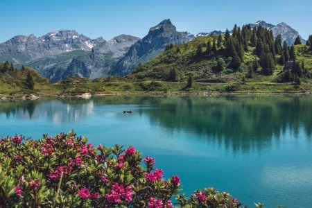 turquoise lake.jpg