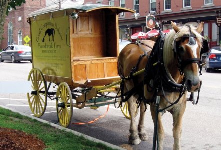 Wagon.jpg