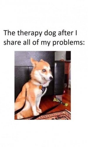 FB_IMG_1749779766538.jpg