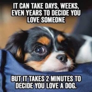 FB_IMG_1749165715833.jpg