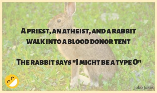 rabbitt.jpg