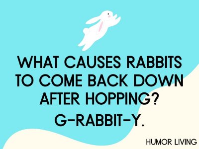 rabbitt10.jpg