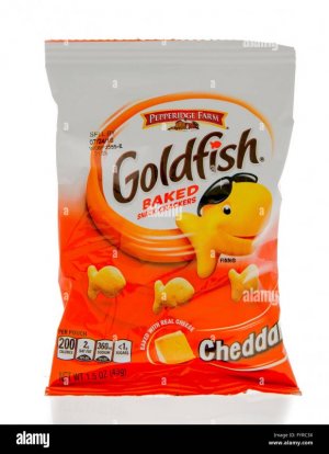 goldfish.jpeg