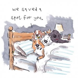 dog saved spot joke.jpg