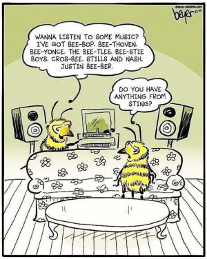 beejoke2.jpg
