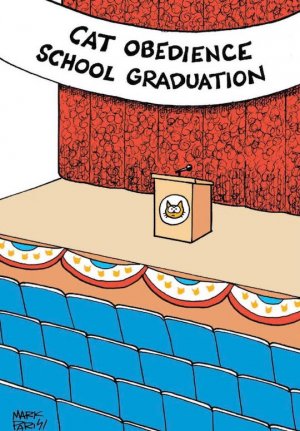 School.jpg