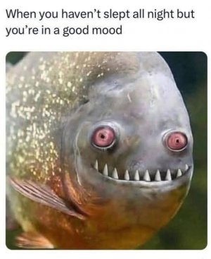 FB_IMG_1750021196056.jpg