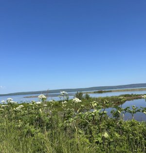 IMG_9248.jpeg