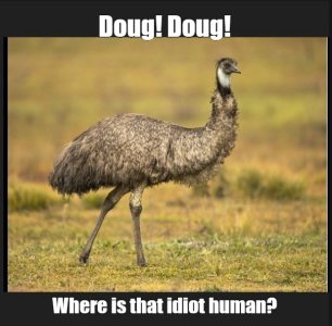 D.jpg