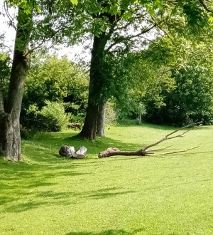 park c.jpg