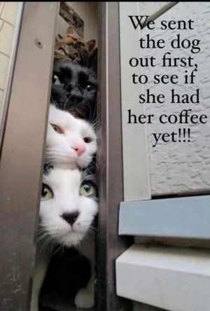 FB_IMG_1749938650170.jpg