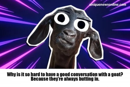goat4.jpg