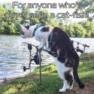 10c30e68e8020c92080ef134559fa512.jpg