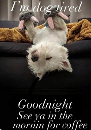 FB_IMG_1750220697993.jpg