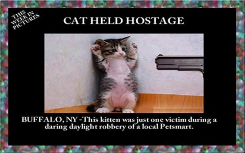 IMG_1821.jpeg