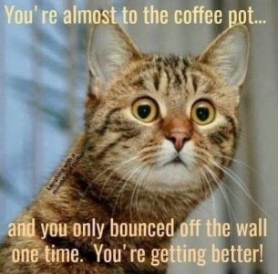 FB_IMG_1750220474603.jpg
