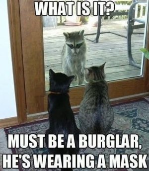 FB_IMG_1750275398758.jpg