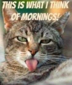 FB_IMG_1749840978139.jpg