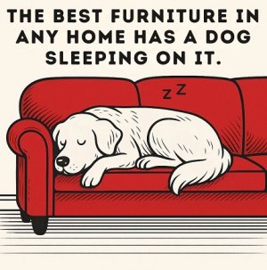 furniture.jpg