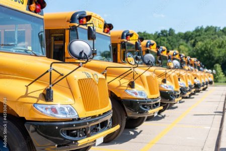 yellow school buses.jpg