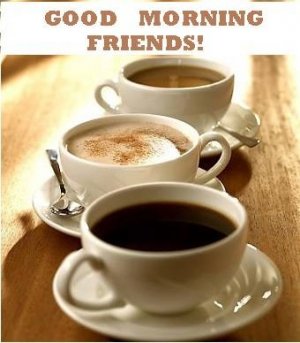 97035-Good-Morning-Friends-3812049971 (1).jpg
