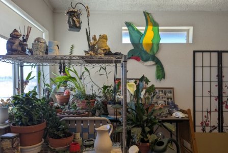 PXL_20250610_201828439.MP.jpg