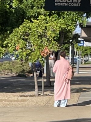 IMG_9112.jpeg