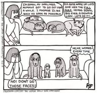 faces.jpg