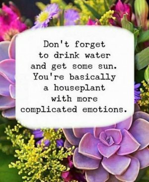 409500-2ec370e43cf50e74a4e73bf046a3a3e6.jpg