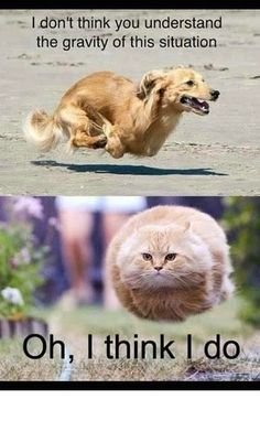 7805e1bfc289331a839757c94bd76900--best-funny-jokes-so-funny.jpg