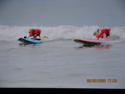 IMG_9779.JPG