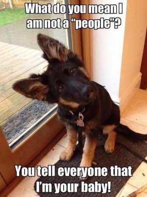FB_IMG_1750469122092.jpg