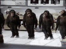 1750484048588.gif