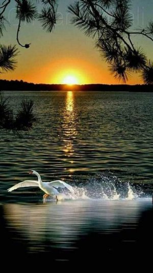 FB_IMG_1686313234769.jpg