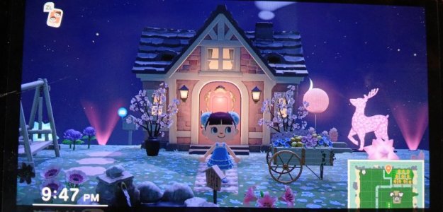 Fairy House.jpeg