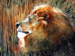 golden lion.jpg