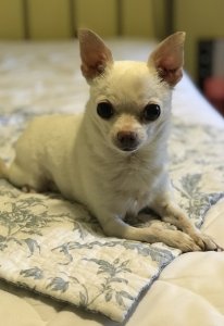 IMG_0288.jpg