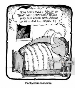 animals-elephant-insomnia-insomniacs-pachyderms-sleeps-wpa0603_low.jpg
