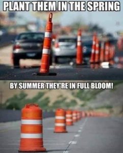 2F5298C1-285F-4403-A22E-BA93B5EFE3BB.jpeg