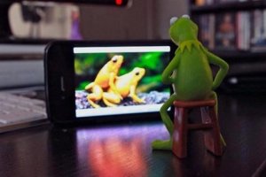 Kermit's porn.jpg